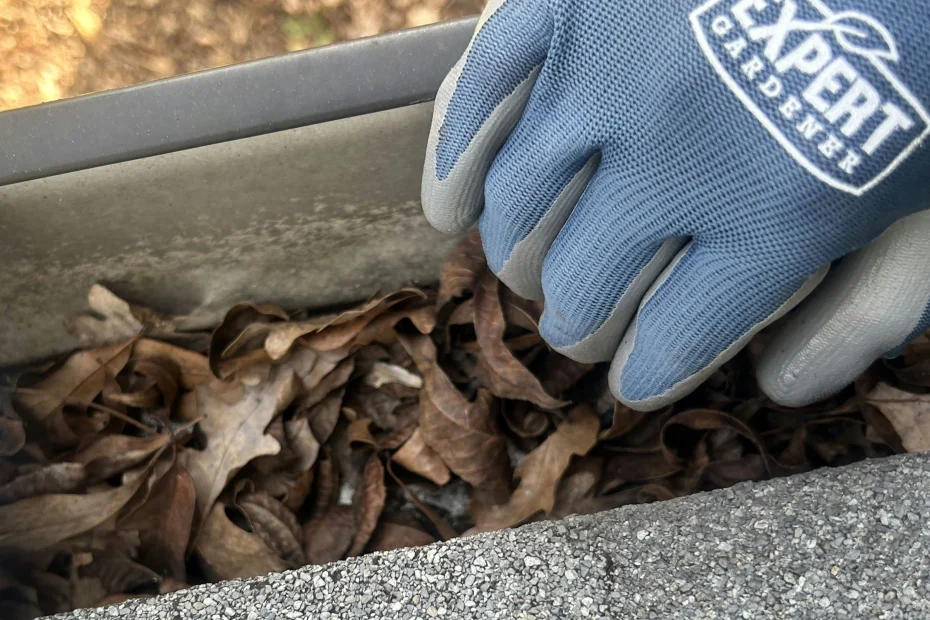 Gutter Cleaning Little Elm TX