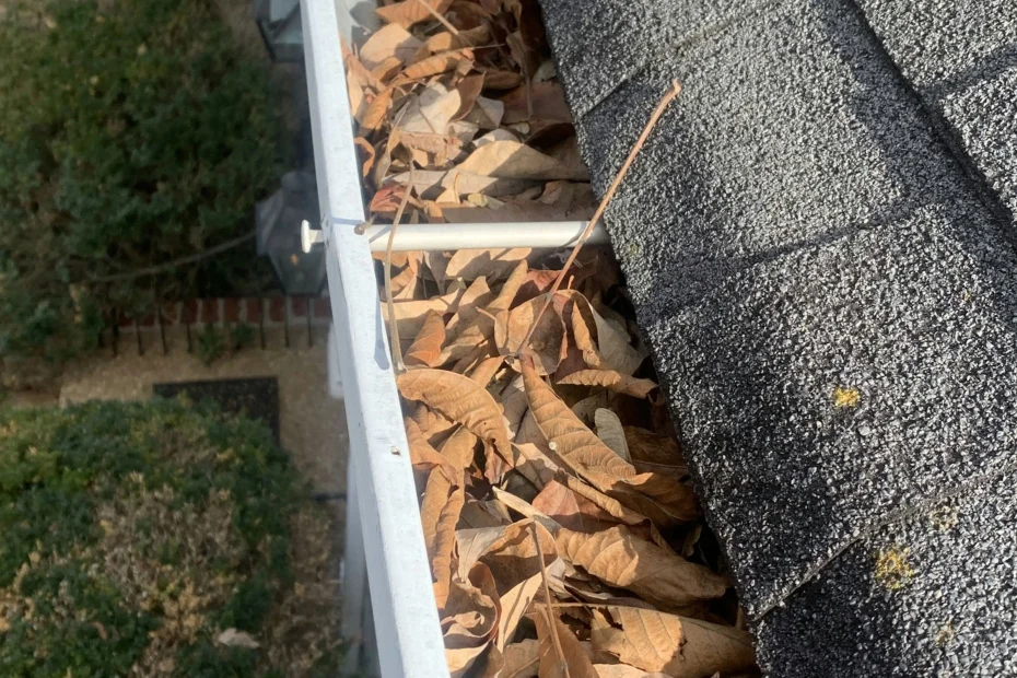 Gutter Cleaning Little Elm TX