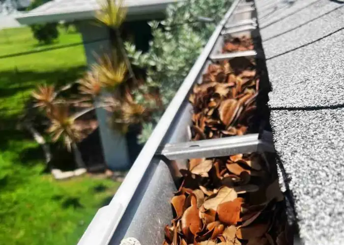 Gutter Cleaning Little Elm TX home page